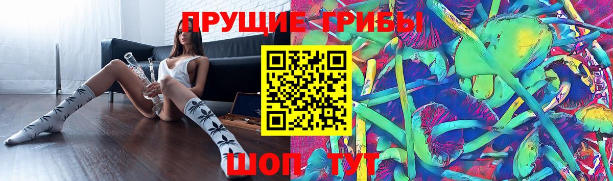 Галлюциногенные грибы ЛСД  Вход с VPN  Кингисепп 
